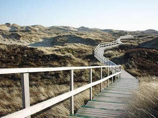 Bohlenweg durch die Dünen