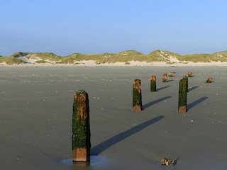 Pfahlstumpen am Kniepsand