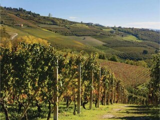 Vakantiehuis Baveno Omgeving 21