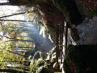 Wanderweg im Müllerthal