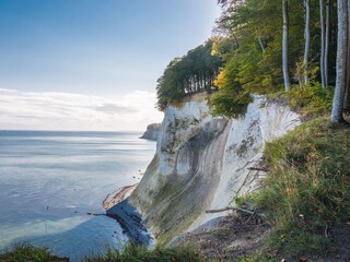 Kreidefelsen von Rügen