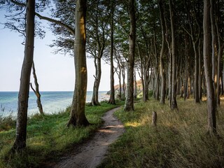 Hochweg Steilufer über den Kreidefelsen