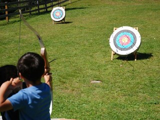 Chalet Innerkrems Ambiente 27