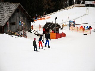 Chalet Innerkrems Ambiente 33