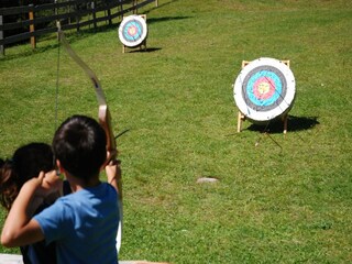 Chalet Innerkrems Ambiente 37