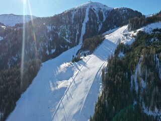 Chalet Innerkrems Ambiente 40