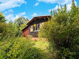 Vakantiehuis Allrode Buitenaudio-opname 12