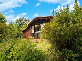 Ferienhaus Allrode Außenaufnahme 8