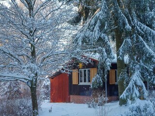 Holiday house Allrode Outdoor Recording 15
