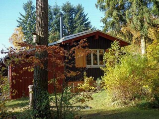 Ferienhaus Allrode Außenaufnahme 16