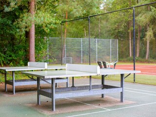 Vakantiepark Rhenen  37
