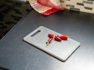 Casa per le vacanze Chaam  39