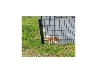 Casa per le vacanze Chaam Registrazione all'aperto 7