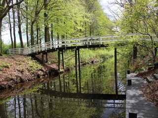 Vakantiehuis Ruigahuizen Omgeving 8