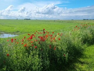 Holiday house Ruigahuizen Environment 7