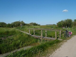 Vakantiehuis Ruigahuizen Omgeving 25