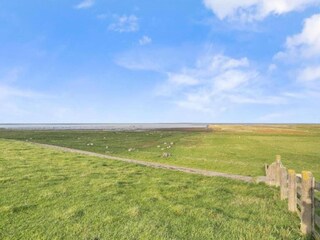 Vakantiehuis Ruigahuizen Omgeving 9