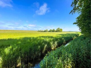 Casa per le vacanze Ruigahuizen Ambiente 28