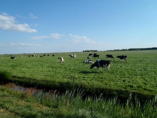Vakantiehuis Ruigahuizen Omgeving 21