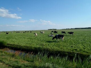 Vakantiehuis Ruigahuizen Omgeving 26