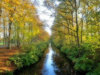 Holiday house Ruigahuizen Environment 19