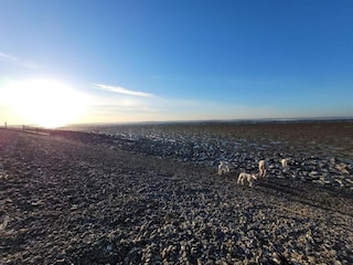 Vakantiehuis Ruigahuizen Omgeving 36