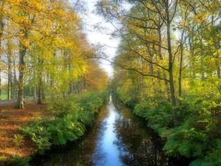 Vakantiehuis Ruigahuizen Omgeving 20