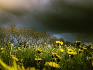 Vakantiehuis Ruigahuizen Omgeving 22