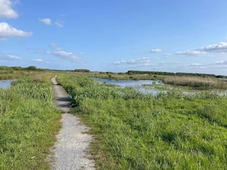 Vakantiehuis Ruigahuizen Omgeving 32