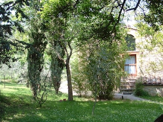 Ferienwohnung Radicondoli Außenaufnahme 3