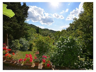 Ferienwohnung Radicondoli Außenaufnahme 18