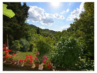 Vakantieappartement Radicondoli Buitenaudio-opname 18