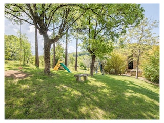 Ferienwohnung Radicondoli Außenaufnahme 19