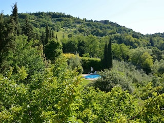Ferienwohnung Radicondoli Außenaufnahme 9