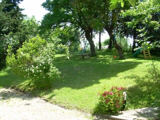 Vakantieappartement Radicondoli Buitenaudio-opname 16