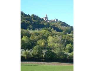 Appartamento per vacanze Radicondoli Ambiente 35