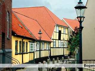 Vakantiepark Bogense  6