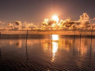 Vakantiehuis Als  24