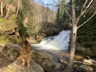 Menzenschwander Tal mit Wasserfall