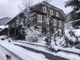 Ferienwohnung Menzenschwand Außenaufnahme 4