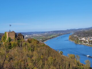 Rhine and Moselle nearby