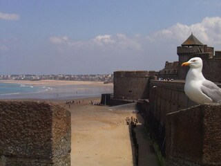 Appartamento Matignon Ambiente 18