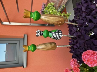 Appartement Fischbach Buitenaudio-opname 19