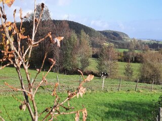 Casa per le vacanze Beauraing Ambiente 34