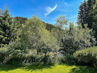 Apartment Winterberg Outdoor Recording 6