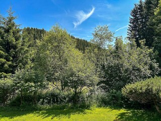 Appartement Winterberg Buitenaudio-opname 1