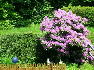 Appartamento per vacanze Zwiesel Registrazione all'aperto 4