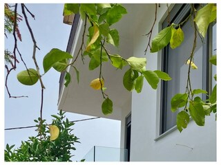 Apartamento de vacaciones Kalamata Grabación al aire libre 3