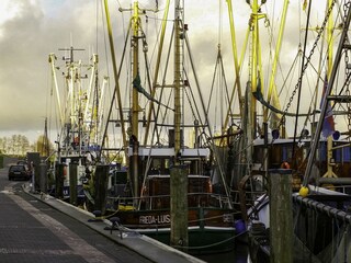 Fischkutter im Hafen
