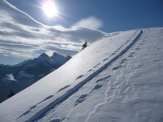 Parco vacanze Eisenerz Ambiente 31